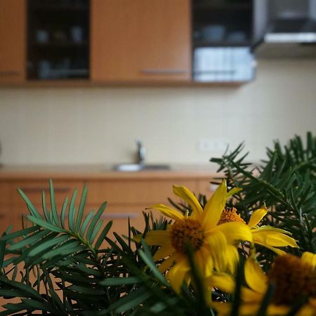 Green House 帕兰加 外观 照片